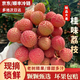 果淳樂(lè)桂味荔枝【多地次日達(dá)】 廣東茂名新鮮冰凍大荔枝當(dāng)季水果禮盒 1斤裝【精選果】試吃/嘗鮮