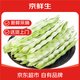京鮮生山東新鮮白蕓豆凈重1.5斤裝白不老新鮮蔬菜源頭直發(fā)包郵