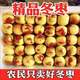 冬棗5斤棗子新鮮水果當(dāng)季甜脆棗鮮棗當(dāng)季水果陜西大荔孕婦沾化 5斤 老樹果【單果15-20g】顆顆甄選
