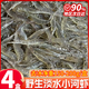 淡水小河蝦生鮮活冷凍青蝦草蝦急凍醉蝦五節腿水產(chǎn)商用批發(fā) 順豐 小河蝦3-6cm 600g(凈重)