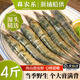 森農樂(lè )舟山滑皮蝦生鮮硬殼蝦鮮活青殼海蝦新鮮冷凍大號海鮮水產(chǎn)野生海捕 800g(凈重)  【自家漁船直供】