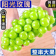 裕農(nóng)叔【JD順豐】陽(yáng)光玫瑰葡萄新鮮水果晴王葡萄青提子當(dāng)季酸甜孕婦生鮮 凈重2.8斤（多人爽吃）
