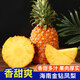 琪江果海南金鉆鳳梨 新鮮水果無(wú)眼菠蘿熱帶水果當季整箱 金鉆鳳梨4.5-5斤小果（3-5個(gè)）