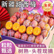 鎖季新疆西梅法蘭西【順豐/JD】新鮮水果脆甜李子水果禮盒中秋禮品 7A級2斤限定禮盒裝 單果20g+【送禮可選】