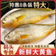 南美豹新鮮黃花魚(yú)大黃魚(yú)深海速凍國產(chǎn)東海大黃花魚(yú)禮盒生鮮魚(yú)類(lèi)海鮮水 【家庭裝】5條裝 1斤左右/條