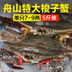 【鮮活發(fā)貨】 舟山鮮活梭子蟹海蟹白蟹飛蟹 可清蒸 海鮮水產(chǎn) 3斤【7-9兩每只】