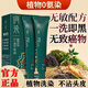 侗染非遺染發(fā)膏植物咖啡色染發(fā)劑純染發(fā)梳蓋白頭發(fā)自己染不沾頭皮補染