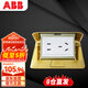 ABB開(kāi)關(guān)插座 10A銅五孔地插阻尼型地面地板電源插座 不含底盒 AF525D