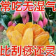【大片厚切】新貨整片芒果干厚切一斤裝休閑零食芒果干批發(fā)芒果干 袋裝-大片鮮芒果干100g*1袋