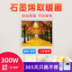 五花 石墨烯壁畫式取暖器電熱板碳晶墻暖壁掛式電暖氣片掛墻家用發(fā)熱器 白框-300瓦