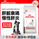 皇家肝臟處方狗糧HF16【防偽可查】慢性肝腦病保肝護肝狗糧 犬肝臟處方糧1.5KG