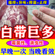 [萬(wàn)歲]白帶丸 6g*10袋 1盒裝 白帶發(fā)黃多內褲濕濕用什么藥婦科炎癥霉菌性陰道炎宮頸糜爛凝膠婦科私處殺菌消炎白帶異常 治白帶量多