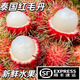 順豐大果1-5斤越南紅毛丹進(jìn)口當(dāng)季新鮮荔枝熱帶水果甜毛荔枝整箱 30-50g單果重【泡沫箱+冰袋】 5斤精品推薦裝