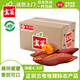 佳農(nóng)寶菜蘭考蜜薯香甜可口單果約100g+地瓜凈重4.5斤裝番薯源頭直發(fā)