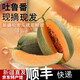 【新疆直發(fā)】新疆哈密瓜現(xiàn)摘正宗網(wǎng)紋吐魯番哈密瓜整箱禮盒團(tuán)購(gòu) 哈密瓜2枚6-7斤【順豐快遞】