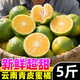 黃六爺 云南蜜桔早熟青皮橘子9斤酸甜新鮮桔子應(yīng)季孕婦水果無(wú)籽綠皮橘子 3斤 【小果】頭茬現(xiàn)摘