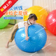 LZJV早教大龍球兒童前庭感統訓練器材幼兒園平衡觸覺(jué)瑜伽家用按摩玩具 顆粒大龍球(藍色65cm)