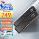 威剛(ADATA) XPG威龍D300 DDR5內(nèi)存條臺(tái)式機(jī)馬甲條內(nèi)存游戲超頻支持EXPO/海力士A代顆粒適配9800X3D 【C36鎂光顆粒】16G*2 6000黑