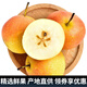 迭果鞍山南果梨遼寧東北特產(chǎn)梨子新鮮水果細(xì)皮南國香水梨 5斤帶箱黃果40個(gè)左右