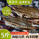 舟山梭子蟹鮮活特大野生大螃蟹新鮮冷凍海鮮水產(chǎn)海蟹飛蟹白蟹順豐 3-5兩/只【3斤 當(dāng)季船供】
