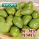 福州特產(chǎn)新鮮青橄欖產(chǎn)地直發(fā)檀香橄欖回味甘甜原味橄欖生吃煲湯 新鮮青橄欖1斤（精品果）
