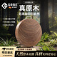 Gravenberch德國鐵木砧板切菜板抗菌防霉家用實(shí)木圓形刀占板廚房專(zhuān)用加厚菜板 U提手款5*36