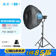 南光（NANLITE）FS-300C全彩大功率補(bǔ)光燈 視頻直播拍攝燈 RGB專業(yè)影棚大場景攝影燈 氛圍人像拍照燈 FS-300C+新款90快裝柔光箱（蛋格）+燈架