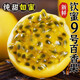 我有果果正宗廣西欽蜜9號(hào)黃金百香果 新鮮當(dāng)季水果黃皮百香果 2斤嘗鮮裝（18-22個(gè)）