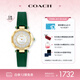 蔻馳（COACH）CARY系列 貝母表盤 石英女表14503894小綠表 七夕禮物/送禮
