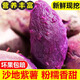 魯禧海岸紫薯 新鮮蔬菜當季現挖 減脂粗糧 山東特產(chǎn)紫羅蘭紫薯 沙地粉紫薯 嚴選中果凈重4.5斤-單果3-8兩