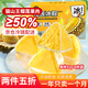 由集貓山王榴蓮冰粽子禮盒 端午節(jié)冰皮榴蓮肉餡52g*6個(gè) 果肉含量≥50%