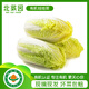 北菜園有機(jī)娃娃菜400g 有機(jī)新鮮蔬菜【進(jìn)店多樣加購(gòu)】 火鍋涮菜
