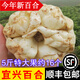 辰實(shí)宜興新鮮百合【新貨發(fā)順豐】 食用大百合 特產(chǎn)微苦軟糯 5斤【特大果百合約16個】