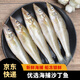 新鮮沙丁魚(yú)冷凍海鮮鮮魚(yú)冷凍沙尖魚(yú)速凍冰鮮沙鉆魚(yú)小船海鮮 沙丁魚(yú)6斤