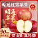 四叔公果蔬云南昭通蘋果【閃送】丑蘋果紅露脆甜非富士冰糖心當季新鮮現摘 精品果（單果60-70mm） 5斤裝【超值推薦】80%選擇