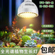 家用全光譜led植物生長燈仿陽光魚缸暴藻綠植苔三角梅月季補光 仿陽光【65w】航空鋁材-有溫度