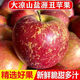 【脆甜-頭茬】四川丑蘋果新鮮現(xiàn)摘蘋果脆甜現(xiàn)發(fā)紅富士蘋果水果 單果約60-70mm 5斤帶箱凈重4.5斤