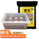 龜真壽烏龜?shù)胺趸籽b 爬寵種龜?shù)胺趸鳠o菌蛭石守宮蛇蛋孵化盒孵化箱