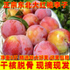 東北大紅袍李子?xùn)|北特產(chǎn)干核李子新鮮黃心脫骨李甜脆產(chǎn)地果園直發(fā) 3斤小果(15枚果) 格擋箱+3層網(wǎng)墊