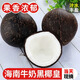 海南牛奶黑椰皇椰子小椰皇水耶子當季水果產(chǎn)地直發(fā)老椰子肉椰子雞 1個(gè)