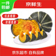 京鮮生 貝貝南瓜凈重4.5斤單果250g（品種:麻籽）新鮮蔬菜源頭直發(fā)