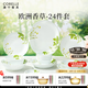 CORELLE康寧餐具美國進口耐熱玻璃湯碗盤子套裝歐洲香草餐具整套送禮 【6人食】高檔禮盒裝 24件套