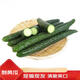 農家刺黃瓜當季新鮮現采摘菜黃瓜天然蔬菜黃瓜脆嫩刺綠黃瓜 凈重3斤單根≥200g