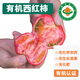【順豐】有機西紅柿 沙瓤番茄滿(mǎn)籽自然熟 孕婦寶寶蔬菜 家庭裝 10斤 精選