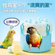 星美妙鸚鵡窩夏季降溫透氣窩裝飾蛋糕鳥窩牡丹玄鳳吊床懸掛鳥巢四季通用  甜品窩-海鹽蛋糕（送雙面窩墊）