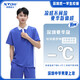 校園達(dá)人深圳中學(xué) 特版中男短袖 170