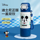 DISNEY迪士尼兒童保溫杯男孩316食品級吸管水杯6-12歲小學(xué)生上學(xué)專用壺 米奇500ml【一蓋雙飲+316不銹鋼】