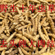北京同仁堂【 特惠斷草】 冬蟲夏草斷草 野生蟲草 冬蟲草 蟲草 斷草 泡酒料 30克