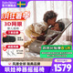 BabyBjorn嬰兒搖搖椅哄娃神器嬰兒安撫搖椅解放雙手布麗絲系列瑞典原裝進(jìn)口 灰褐色/網(wǎng)眼