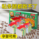 巨奇蟑螂屋無毒蟑螂藥家用蟑螂粘板蟑螂貼誘捕德國(guó)小蠊全窩端蟲卵雙殺